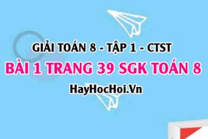 Giải bài 1 trang 39 Toán 8 Tập 1 SGK Chân trời sáng tạo